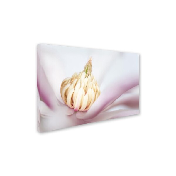 Pierre Leclerc 'Soft Magnolia' Canvas Art,16x24
